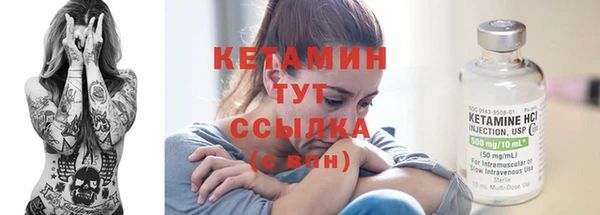 трава Балахна